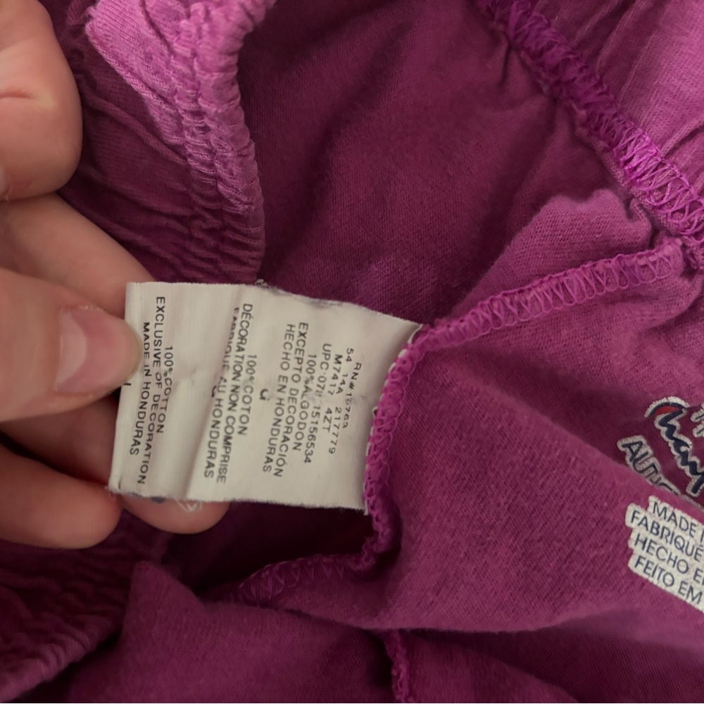 Vintage Champion Authentic Magenta Shorts - Picture 4 of 4